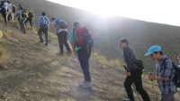 image11